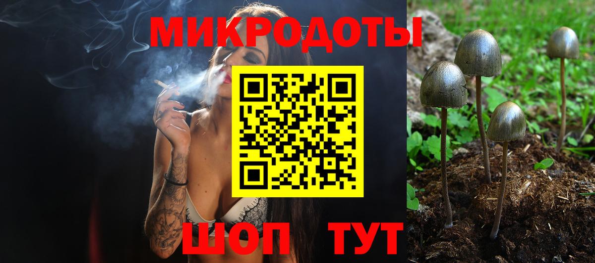 Галлюциногенные грибы Psilocybine cubensis Дюртюли